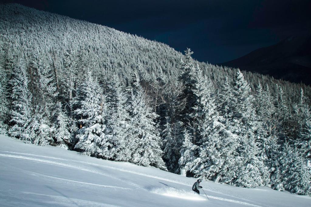 Black Bear Lodge Уотервилл Вэлли Экстерьер фото