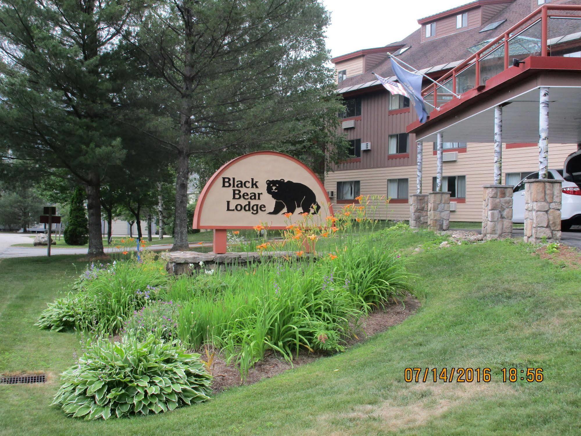 Black Bear Lodge Уотервилл Вэлли Экстерьер фото